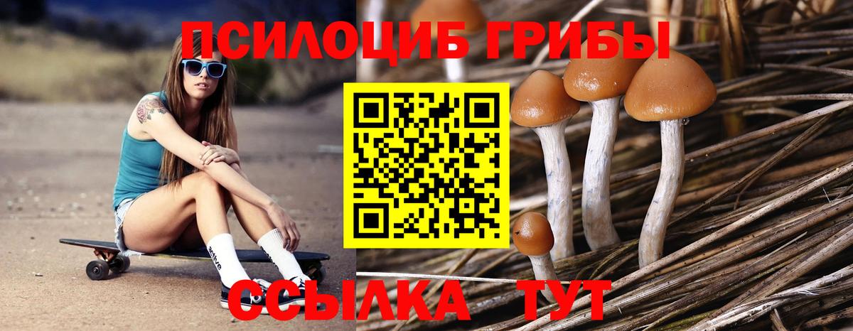 Псилоцибиновые грибы мицелий  Вход с VPN  Уварово 